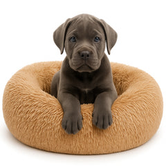 Calming Dog Bed