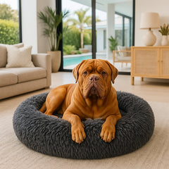 Calming Dog Bed